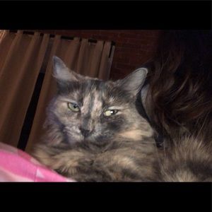 Meet your Posher, Hannah